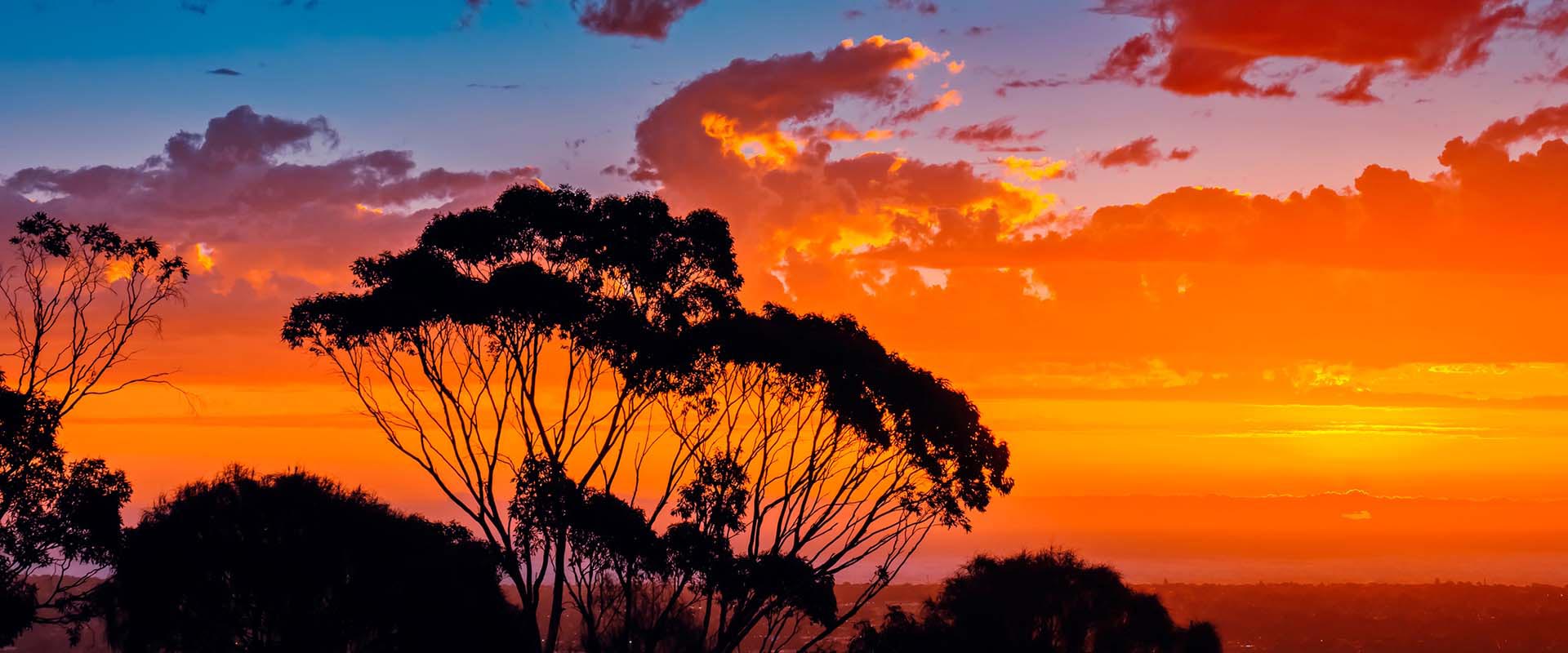 Adelaide Cup Day: Australian Retailer Opening Strategies Unpacked